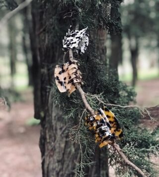 The best hair claws in town. Visit 1.4.U stores. 🥢

#fashion #accessories #style #hairaccessories #hairclaw #hairclaws #hair #hairclip #hairclips #nature #forest #winter #wow